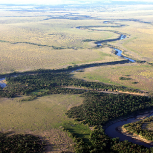 Mara River aerial view