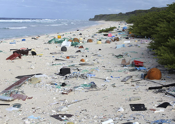 Plastic debris on Henderson Island