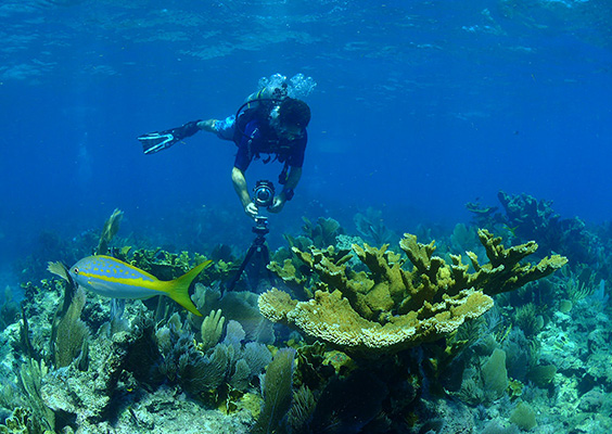 Underwater 360-degree photography