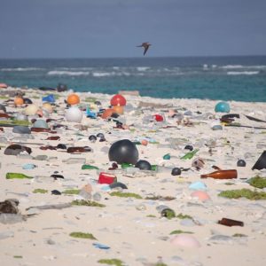 Beach plastic debris