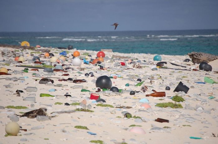 Beach plastic debris
