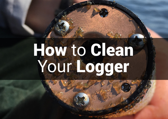How to Clean Your Logger