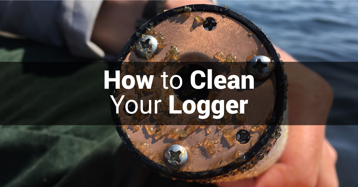 Tips to Clean Your Logger