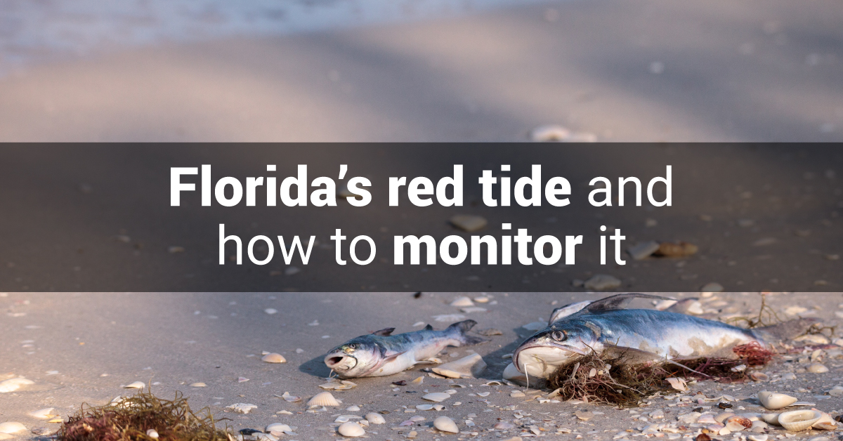 Florida Red Tide | PME