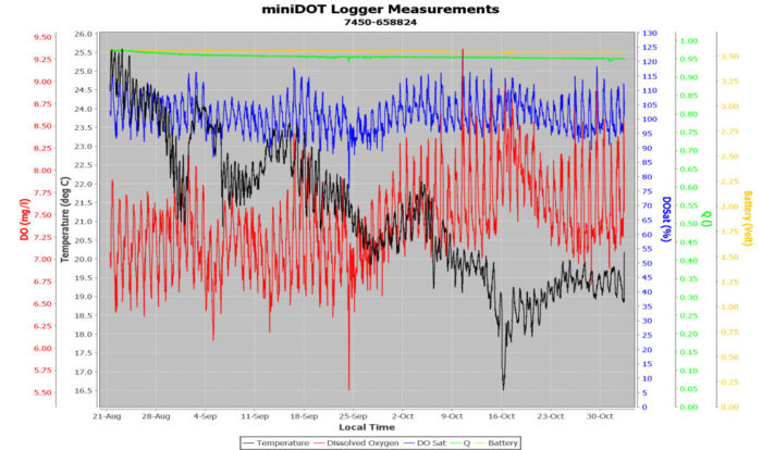 MiniDOT Logger Measurements