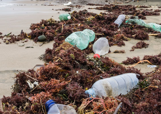 Oceans of Garbage Prompt War on Plastics