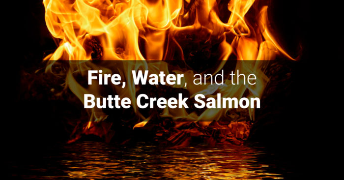 Fire, Water, and the Butte Creek Salmon