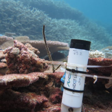 Measuring Dissolved Oxygen Levels in Seawater