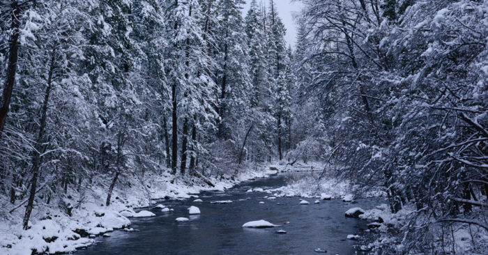 Late Snowfall’s Impact on Dissolved Oxygen Levels