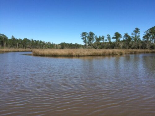 body of water tidal creek