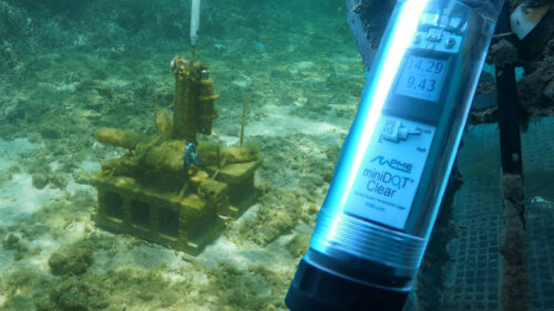DO. minidot logger