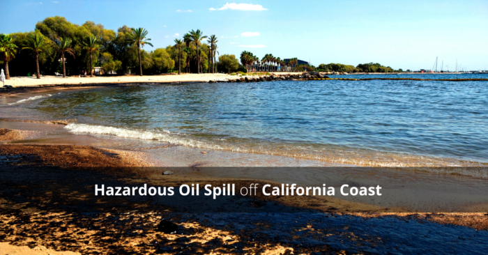 oil spill washed up on shore line of a sandy beach with blue skies and palm trees in the background