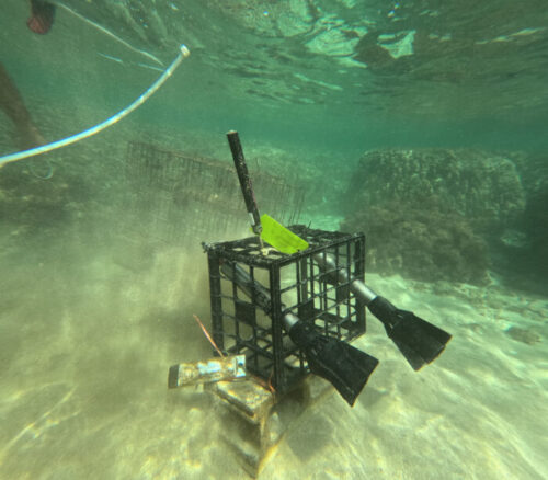 Rig under water Kealoha