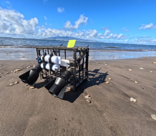 minidots in use hawaii