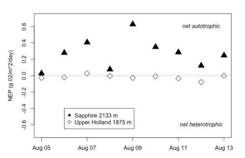 autotrophis chat graph