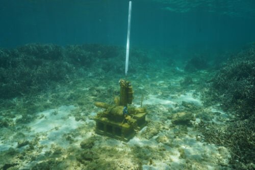 par submerged in water