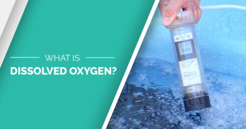 A graphic showing the miniDOT Clear logger with text that reads, "What is Dissolved Oxygen?"