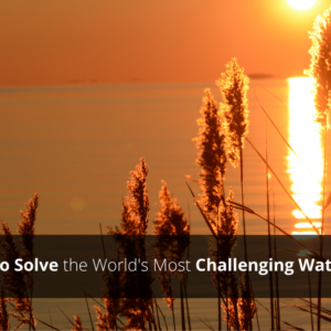 sun over the water. text on image: partnering to solve the world's most challenging water problems