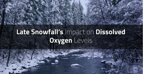Snowfall surrounding a body of water that receives most of its dissolved oxygen (DO) from photosynthesis of subaquatic plants.
