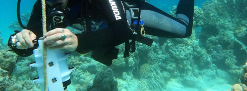 minidot logger diver