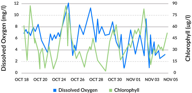 The appearance of an algal bloom results in a dip in dissolved oxygen shortly after.