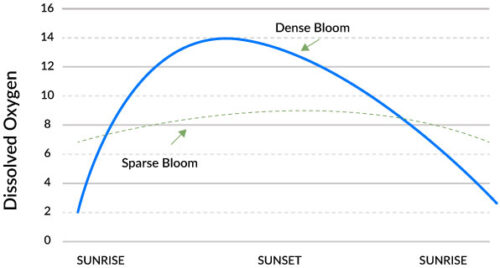 Oxygen dynamics graph.