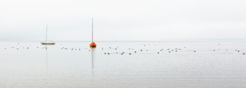 water with sail boats