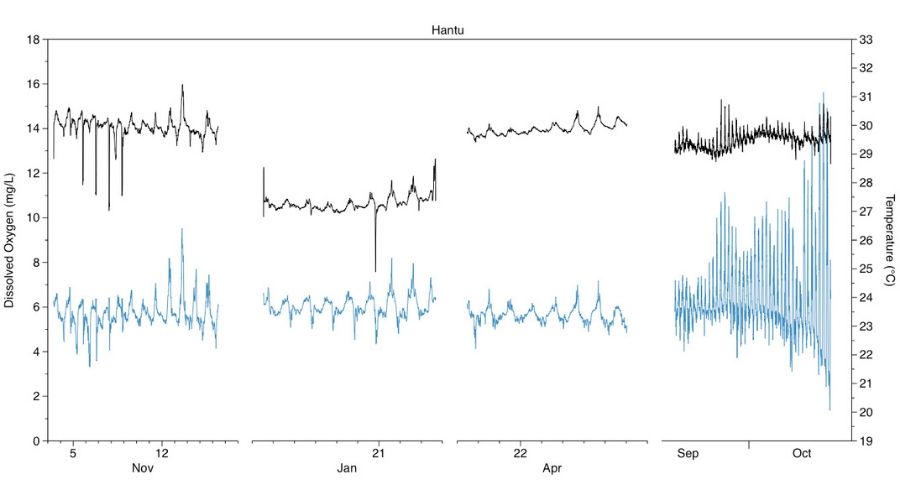 This graph was provided by researcher’s using the miniDOT logger in Singapore and depicts the changing DO and temperature levels during the duration of its deployment.