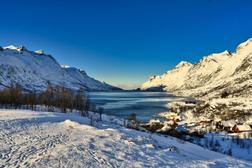 Graphic of an Arctic lake town