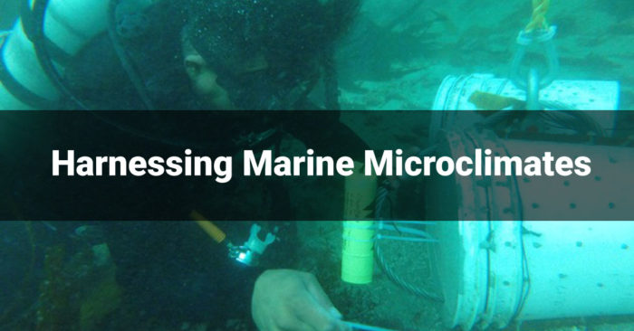 Harnessing Marine Microclimates for Climate Change Adaptation, Fisheries Management, and Marine Conservation