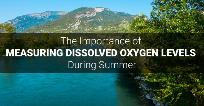 The Importance of Measuring Dissolved Oxygen Levels During Summer