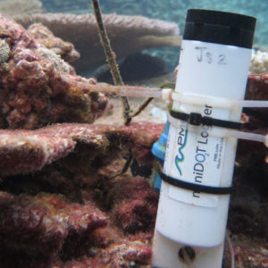 Measuring Dissolved Oxygen in Seawater
