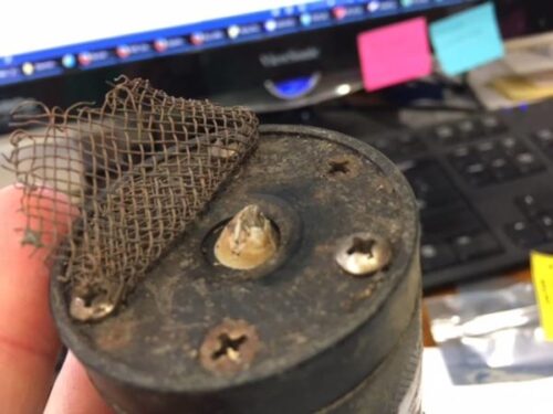 Image captured of a barnacle after it made a home in the sensor of this miniDOT logger.