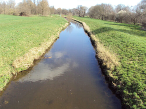 Image captured of riverbed miniDOT Logger was buried under in Germany.