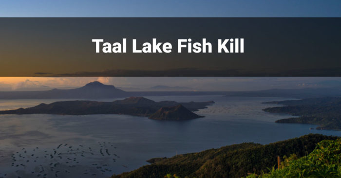 Taal Lake Fish Kill