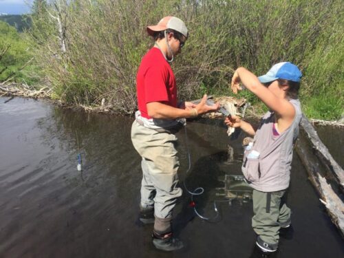 water being sampled in field
